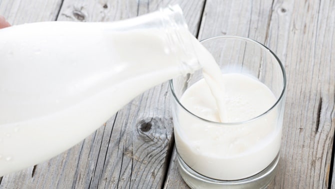 les dangers du lait de vache