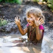 Nous devons arrêter de tout désinfecter et laisser les bactéries revenir dans notre vie