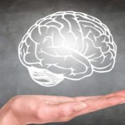 [Partie 1] Comment fonctionne le cerveau de nos enfants ?