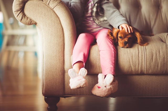 grandir avec un chien bébé et enfants