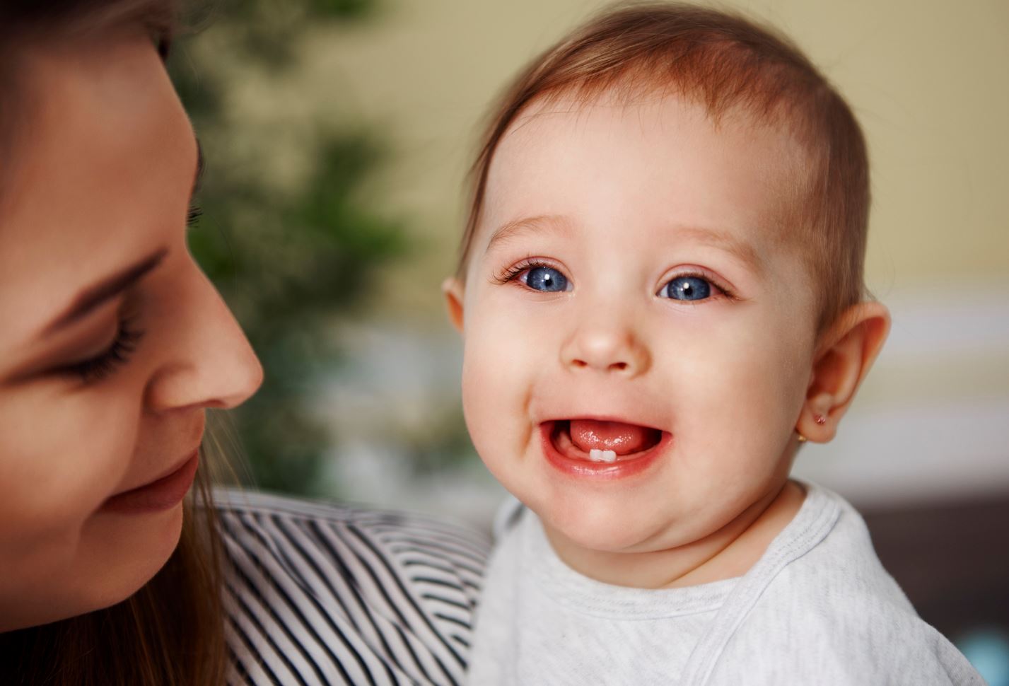 Bébé Premières Dents 