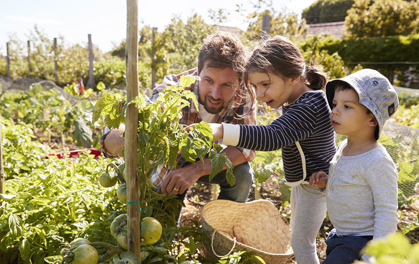 Regarder Nature Enfant Jardin
