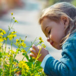 enfant renifle une fleur jaune dans la nature